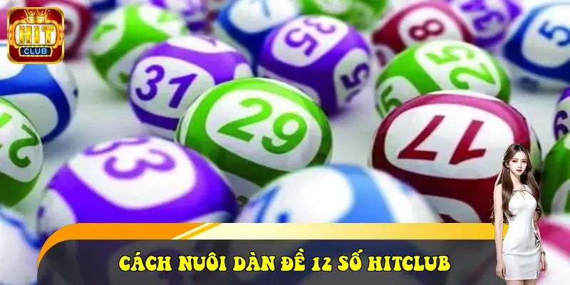 dan de 12 so 6977822b82841