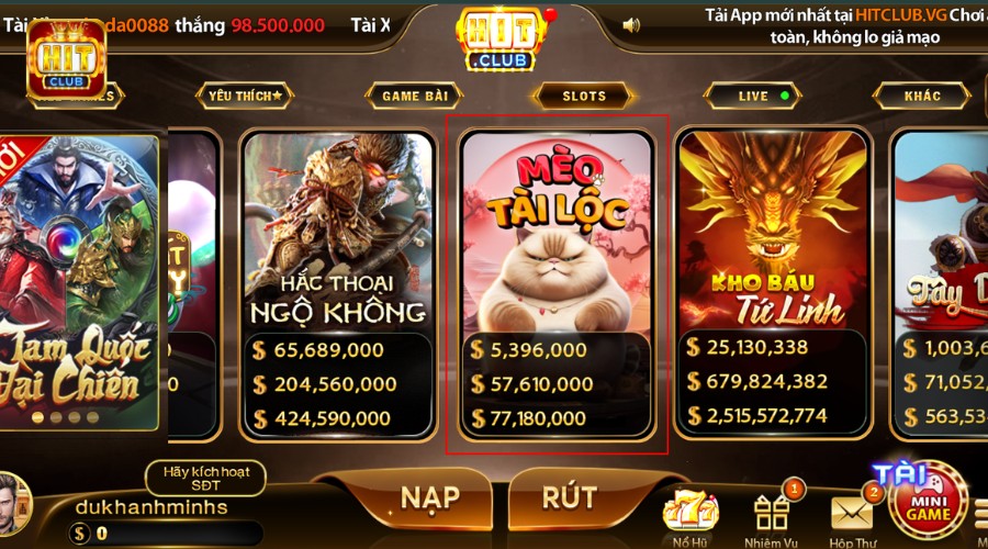 Mẹo chơi mèo tài lộc cho người mới